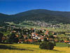 Blick über Haibühl