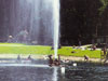 Seepark Arrach